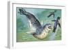 Close-Up of a Leopard Seal Hunting a Penguin (Hydrurga Leptonyx)-null-Framed Giclee Print