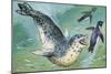 Close-Up of a Leopard Seal Hunting a Penguin (Hydrurga Leptonyx)-null-Mounted Giclee Print