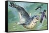 Close-Up of a Leopard Seal Hunting a Penguin (Hydrurga Leptonyx)-null-Framed Stretched Canvas