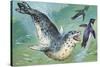 Close-Up of a Leopard Seal Hunting a Penguin (Hydrurga Leptonyx)-null-Stretched Canvas