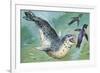 Close-Up of a Leopard Seal Hunting a Penguin (Hydrurga Leptonyx)-null-Framed Giclee Print