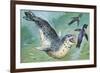 Close-Up of a Leopard Seal Hunting a Penguin (Hydrurga Leptonyx)-null-Framed Giclee Print