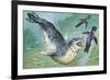 Close-Up of a Leopard Seal Hunting a Penguin (Hydrurga Leptonyx)-null-Framed Giclee Print
