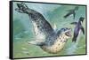 Close-Up of a Leopard Seal Hunting a Penguin (Hydrurga Leptonyx)-null-Framed Stretched Canvas