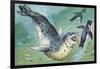 Close-Up of a Leopard Seal Hunting a Penguin (Hydrurga Leptonyx)-null-Framed Giclee Print