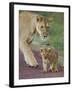 Close-up of a Lioness and Her Cub, Ngorongoro Crater, Ngorongoro Conservation Area-null-Framed Photographic Print