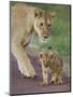 Close-up of a Lioness and Her Cub, Ngorongoro Crater, Ngorongoro Conservation Area-null-Mounted Photographic Print