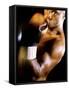 Close-up of a Male Boxer Wearing Boxing Gloves-null-Framed Stretched Canvas