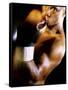 Close-up of a Male Boxer Wearing Boxing Gloves-null-Framed Stretched Canvas