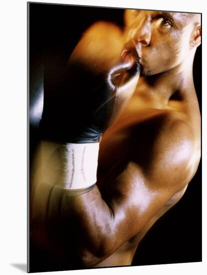 Close-up of a Male Boxer Wearing Boxing Gloves-null-Mounted Premium Photographic Print