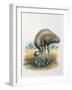 Close-Up of a Male Emu Standing Near Eggs-null-Framed Giclee Print