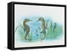 Close-Up of a Male Sea Horse Expelling Young Sea Horses-null-Framed Stretched Canvas