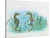Close-Up of a Male Sea Horse Expelling Young Sea Horses-null-Stretched Canvas