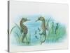 Close-Up of a Male Sea Horse Expelling Young Sea Horses-null-Stretched Canvas