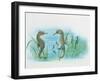 Close-Up of a Male Sea Horse Expelling Young Sea Horses-null-Framed Giclee Print