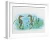 Close-Up of a Male Sea Horse Expelling Young Sea Horses-null-Framed Giclee Print