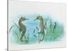 Close-Up of a Male Sea Horse Expelling Young Sea Horses-null-Stretched Canvas