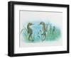 Close-Up of a Male Sea Horse Expelling Young Sea Horses-null-Framed Giclee Print