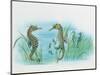 Close-Up of a Male Sea Horse Expelling Young Sea Horses-null-Mounted Giclee Print