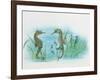 Close-Up of a Male Sea Horse Expelling Young Sea Horses-null-Framed Giclee Print