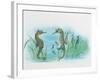 Close-Up of a Male Sea Horse Expelling Young Sea Horses-null-Framed Giclee Print