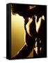 Close-up of a Man Exercising-null-Framed Stretched Canvas