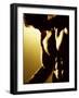 Close-up of a Man Exercising-null-Framed Photographic Print