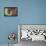 Close-up of a man's hands praying the rosary, France, Europe-Godong-Framed Stretched Canvas displayed on a wall