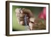 Close-up of a man's hands praying the rosary, France, Europe-Godong-Framed Photographic Print