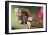 Close-up of a man's hands praying the rosary, France, Europe-Godong-Framed Photographic Print