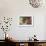 Close-up of a man's hands praying the rosary, France, Europe-Godong-Framed Photographic Print displayed on a wall