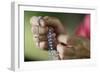 Close-up of a man's hands praying the rosary, France, Europe-Godong-Framed Photographic Print