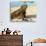 Close-Up of a Marine Iguana, Galapagos Islands, Ecuador-Miva Stock-Photographic Print displayed on a wall