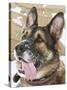 Close-up of a Military Working Dog-Stocktrek Images-Stretched Canvas