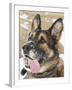 Close-up of a Military Working Dog-Stocktrek Images-Framed Photographic Print