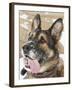 Close-up of a Military Working Dog-Stocktrek Images-Framed Photographic Print