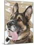 Close-up of a Military Working Dog-Stocktrek Images-Mounted Photographic Print