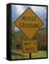 Close-Up of a Moose Crossing Yellow Road Sign, New England, United States of America, North America-Fraser Hall-Framed Stretched Canvas