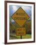 Close-Up of a Moose Crossing Yellow Road Sign, New England, United States of America, North America-Fraser Hall-Framed Photographic Print