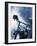 Close-up of a Motorcycle-null-Framed Photographic Print