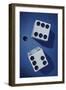 Close-up of a Pair of Dice-null-Framed Giclee Print