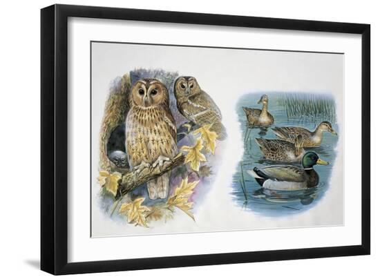 Premium Giclee Print, , large