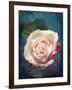 Close-Up of a Pale Pink Rose-Alaya Gadeh-Framed Photographic Print