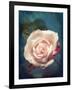 Close-Up of a Pale Pink Rose-Alaya Gadeh-Framed Photographic Print