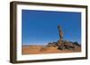 Close-Up of a Panorama, the So Called Finger, Libya, Tadrart, Akakus, Addad-null-Framed Giclee Print