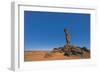 Close-Up of a Panorama, the So Called Finger, Libya, Tadrart, Akakus, Addad-null-Framed Giclee Print