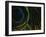 Close-up of a Peacock Feather-null-Framed Premium Photographic Print