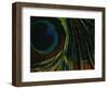 Close-up of a Peacock Feather-null-Framed Photographic Print