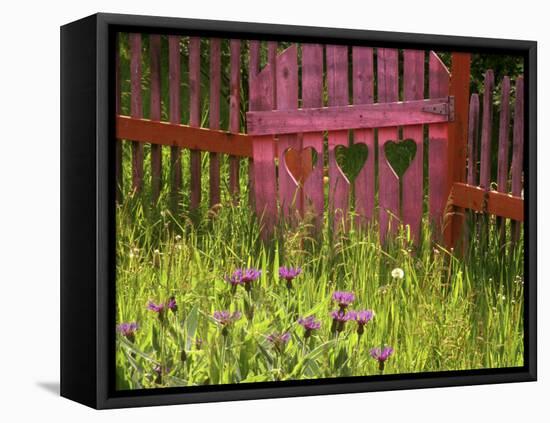 Close-up of a Picket Fence Gate-null-Framed Stretched Canvas