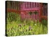 Close-up of a Picket Fence Gate-null-Stretched Canvas